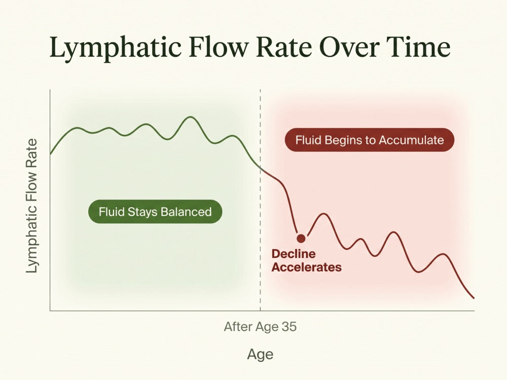 Lymphatic flow rate over time: fluid stays balanced until after age 35, then the decline accelerates and fluid begins to accumulate